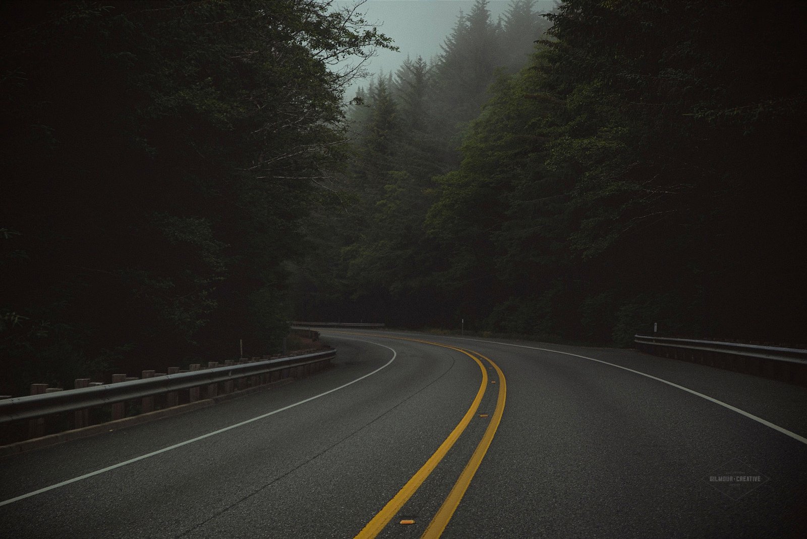 Oregon Foggy Road